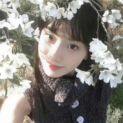 有情鸳鸯无情剑